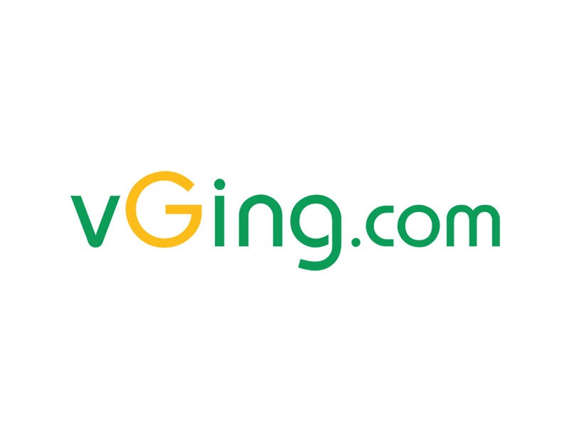 vging website preview
